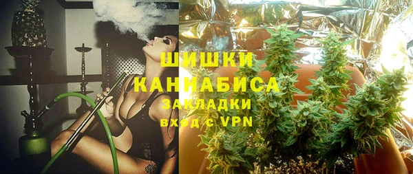 сатива Алзамай