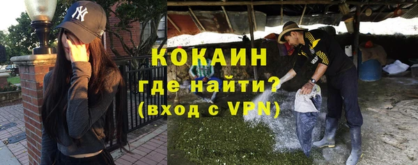 прущие грибы Краснослободск