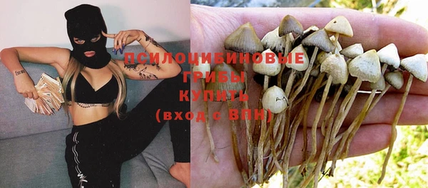 сатива Алзамай