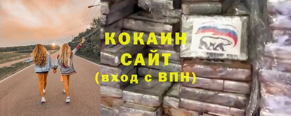 сатива Алзамай