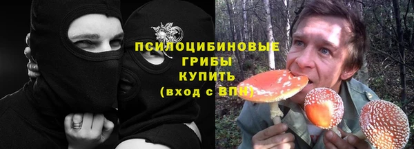стаф Абинск