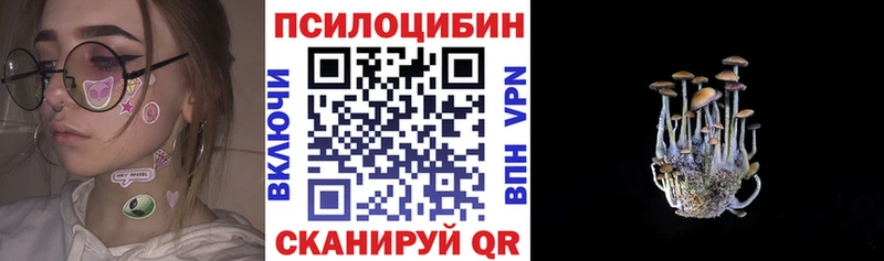 Галлюциногенные грибы Psilocybine cubensis  Брюховецкая 