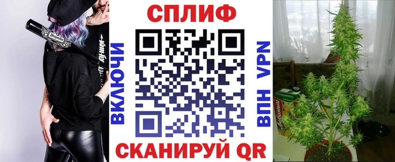 Шишки марихуана MAZAR Брюховецкая